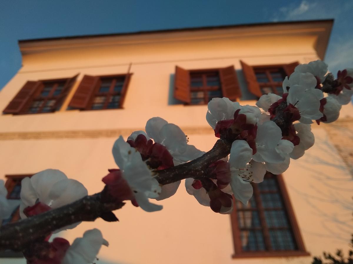 Archontiko Kantartzi Portaria  Ngoại thất bức ảnh