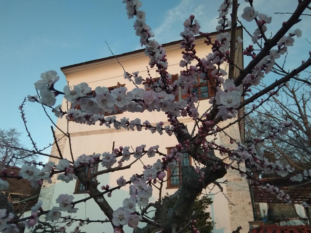 Archontiko Kantartzi Portaria  Ngoại thất bức ảnh